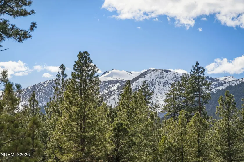 16911 Mt Rose, Reno, Nevada 89511, 4 Bedrooms Bedrooms, ,2 BathroomsBathrooms,Residential,Residential,Mt Rose,260002731