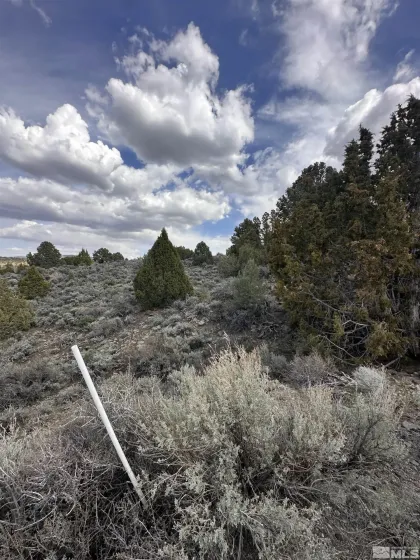3520 Dry Lake, Reno, Nevada 89521, ,Land,Residential,Dry Lake,250005508
