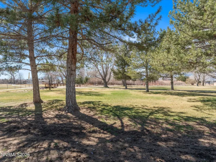 1307 Kingslane, Gardnerville, Nevada 89410, 2 Bedrooms Bedrooms, ,2 BathroomsBathrooms,Residential,Residential,Kingslane,260002765