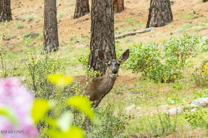 224 Earlham, Reno, Nevada 89511, 3 Bedrooms Bedrooms, ,4 BathroomsBathrooms,Residential,Residential,Earlham,260002756