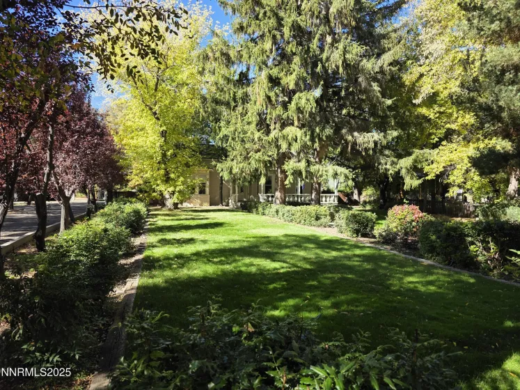 Front yard and walkway to house