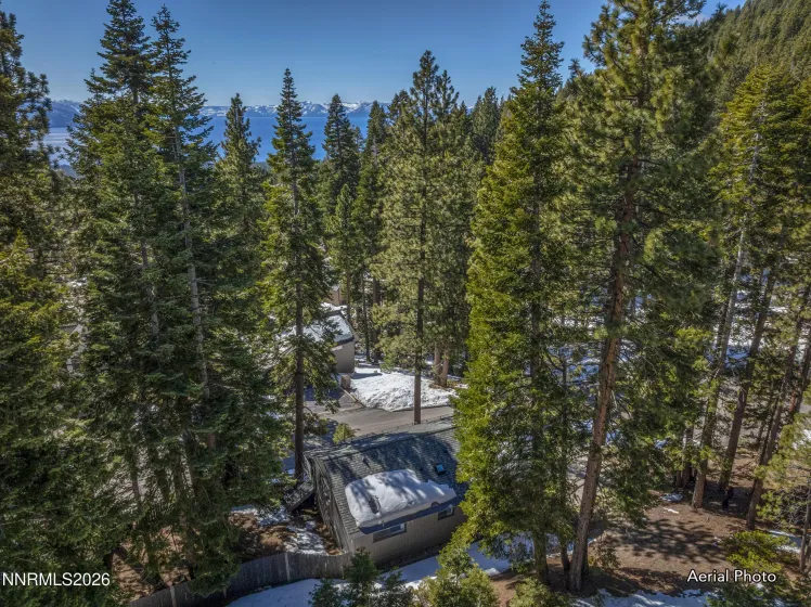 696 Bidwell, Incline Village, Nevada 89451, 4 Bedrooms Bedrooms, ,3 BathroomsBathrooms,Residential,Residential,Bidwell,260002815