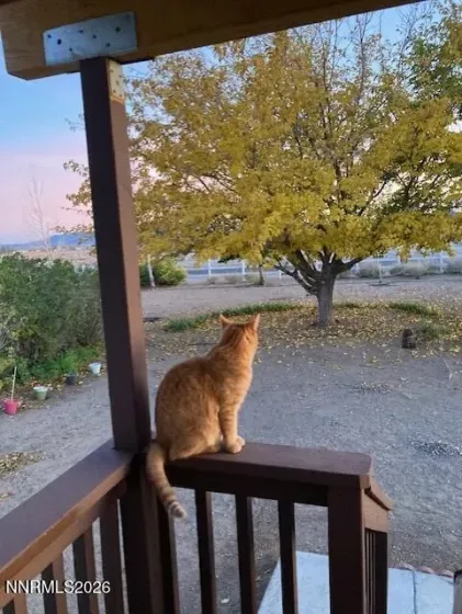 1500 Spruce, Silver Springs, Nevada 89429, 3 Bedrooms Bedrooms, ,2 BathroomsBathrooms,Residential,Residential,Spruce,260002824