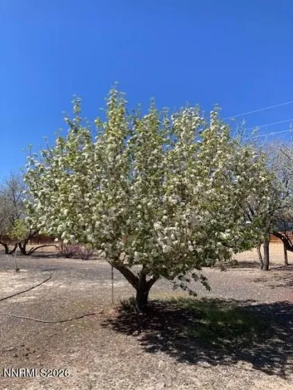 1500 Spruce, Silver Springs, Nevada 89429, 3 Bedrooms Bedrooms, ,2 BathroomsBathrooms,Residential,Residential,Spruce,260002824