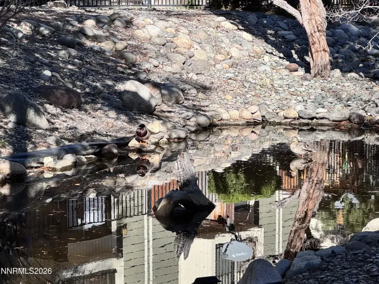 3012 Eastshore, Reno, Nevada 89509, 2 Bedrooms Bedrooms, ,2 BathroomsBathrooms,Residential,Residential,Eastshore,260002853