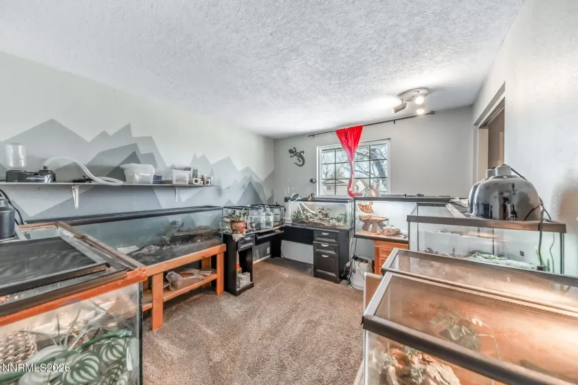 370 Maple, Fernley, Nevada 89408, 4 Bedrooms Bedrooms, ,2 BathroomsBathrooms,Residential,Residential,Maple,260002874