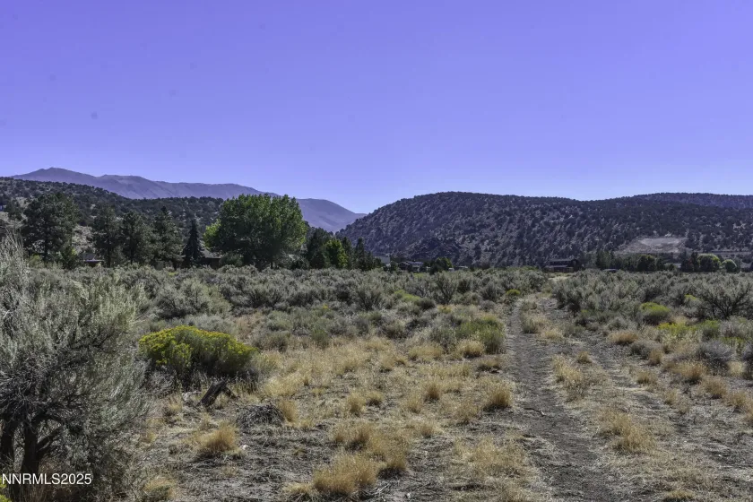 View facing east. BLM nearby.