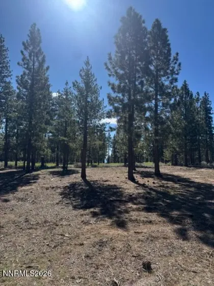 3312 Golf Club, Carson City, Nevada 89705, ,Land,Residential,Golf Club,260002907