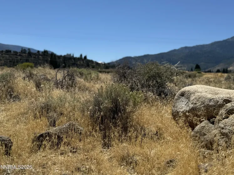 355 River Pines, Verdi, Nevada 89439, ,Land,Residential,River Pines,260002911