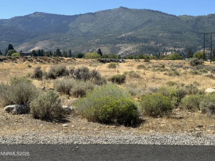 355 River Pines, Verdi, Nevada 89439, ,Land,Residential,River Pines,260002911
