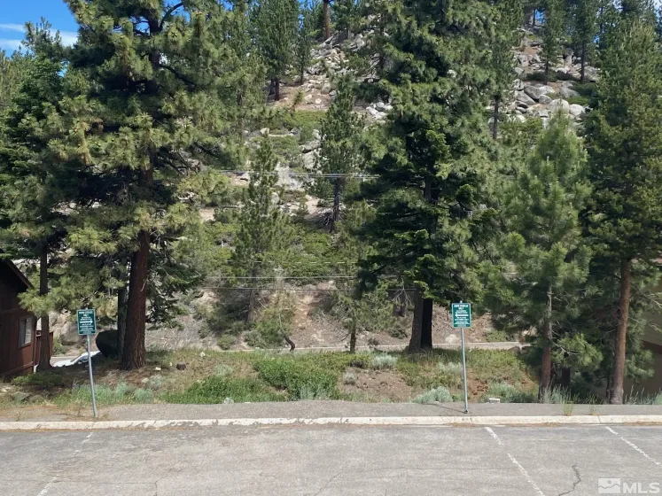 722 Gary, Stateline, Nevada 89449, ,Land,Residential,Gary,240007931