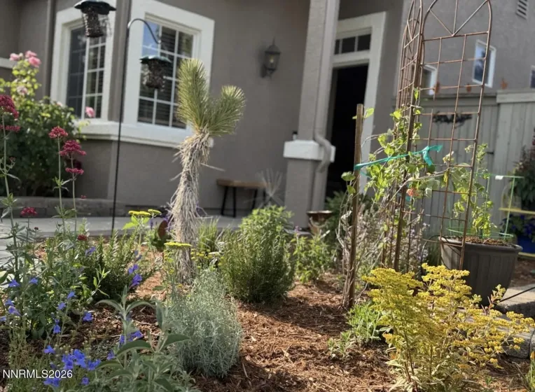 1797 Trek, Reno, Nevada 89521, 3 Bedrooms Bedrooms, ,2 BathroomsBathrooms,Residential,Residential,Trek,260002952