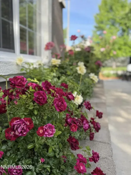 1797 Trek, Reno, Nevada 89521, 3 Bedrooms Bedrooms, ,2 BathroomsBathrooms,Residential,Residential,Trek,260002952