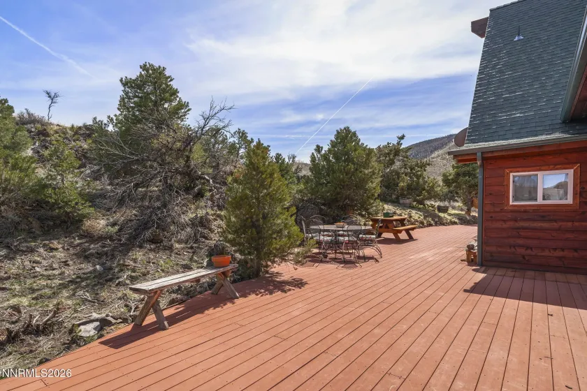 2939 Devenpeck, Gardnerville, Nevada 89410, 3 Bedrooms Bedrooms, ,2 BathroomsBathrooms,Residential,Residential,Devenpeck,260002960