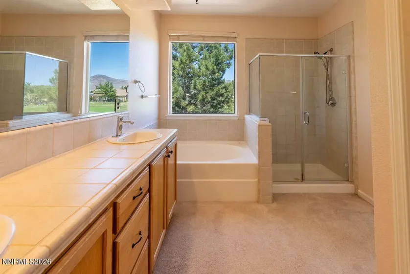 932 Lakeview, Dayton, Nevada 89403, 3 Bedrooms Bedrooms, ,3 BathroomsBathrooms,Residential,Residential,Lakeview,0,250056496