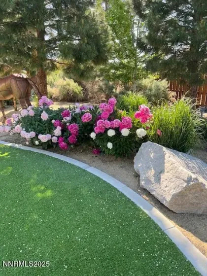 1777 Winnie, Carson City, Nevada 89703, 2 Bedrooms Bedrooms, ,4 BathroomsBathrooms,Residential,Residential,Winnie,260002999