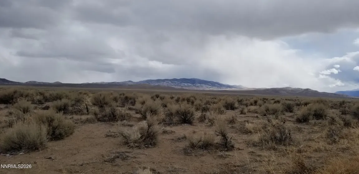 330 Eagle, Smith, Nevada 89430, ,Land,Residential,Eagle,260003004