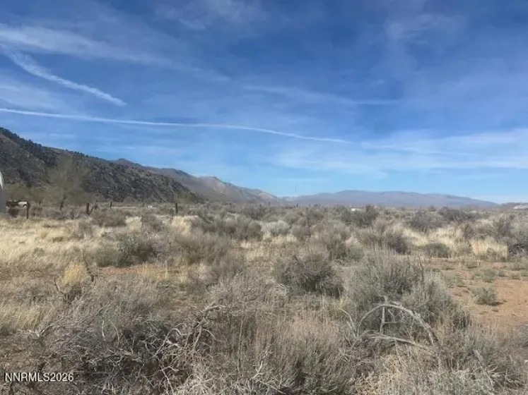 0 US Highway 395, Walker, California 96107, ,Land,Residential,US Highway 395,260003012