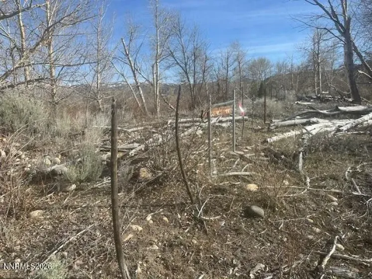 109500 US-395, Coleville, California 96107, ,Land,Residential,US-395,260003014