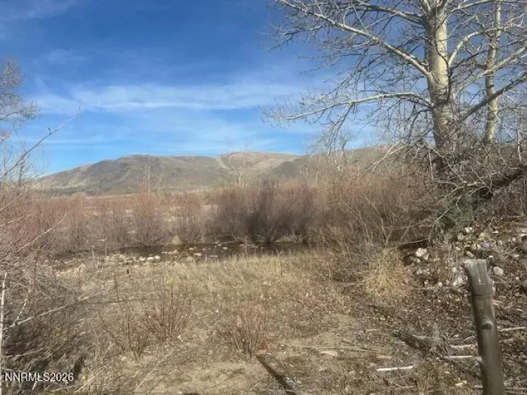 109500 US-395, Coleville, California 96107, ,Land,Residential,US-395,260003014