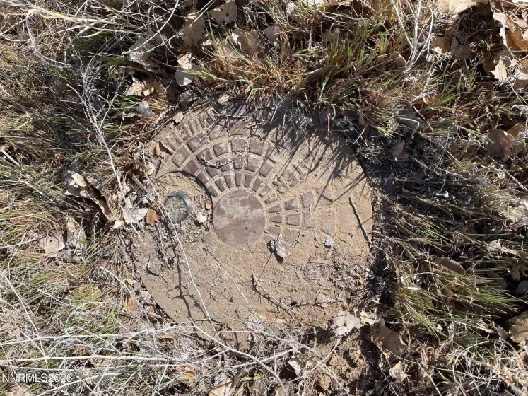 17 Overland, Yerington, Nevada 89447, ,Land,Residential,Overland,260003035