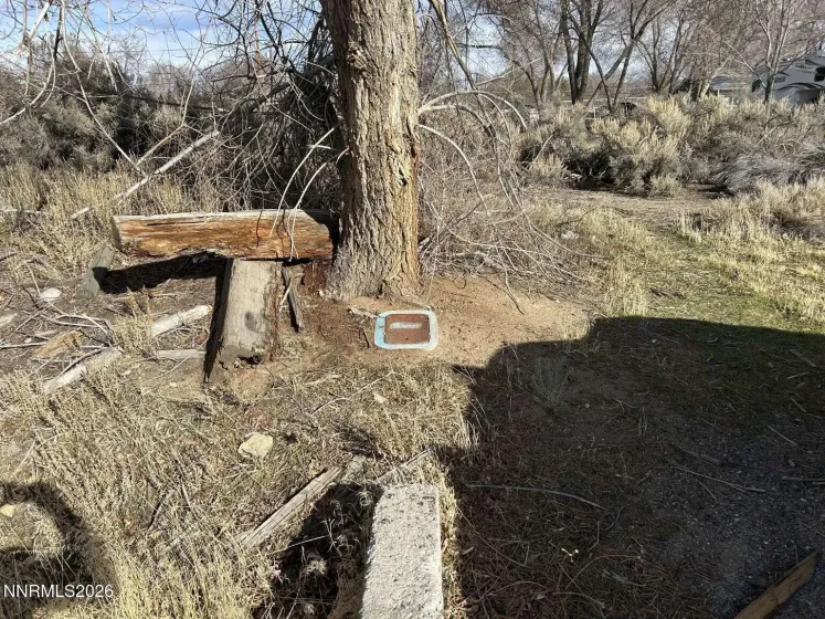 2387 Sneddon, Carson City, Nevada 89706, ,Land,Residential,Sneddon,260003037