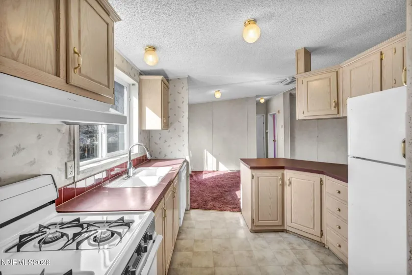 5107 Leon, Sun Valley, Nevada 89433, 3 Bedrooms Bedrooms, ,2 BathroomsBathrooms,Residential,Residential,Leon,260003040