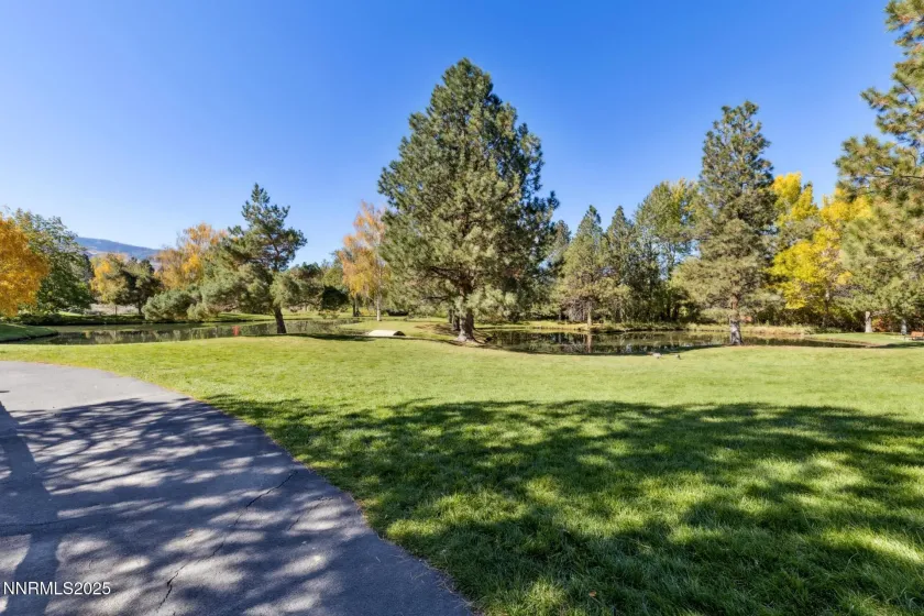 709 Caughlin, Reno, Nevada 89519, 3 Bedrooms Bedrooms, ,3 BathroomsBathrooms,Residential,Residential,Caughlin,260003074