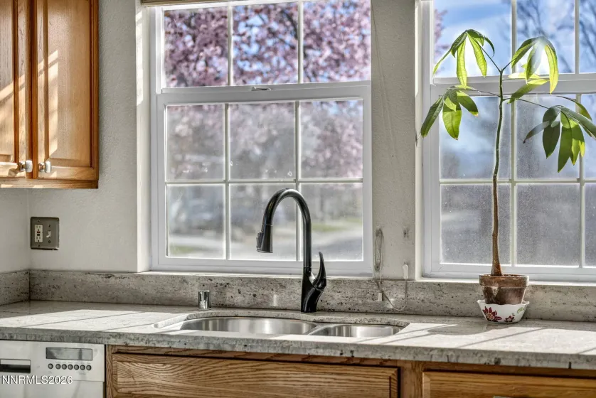 1408 Molly, Carson City, Nevada 89701, 3 Bedrooms Bedrooms, ,3 BathroomsBathrooms,Residential,Residential,Molly,260003095