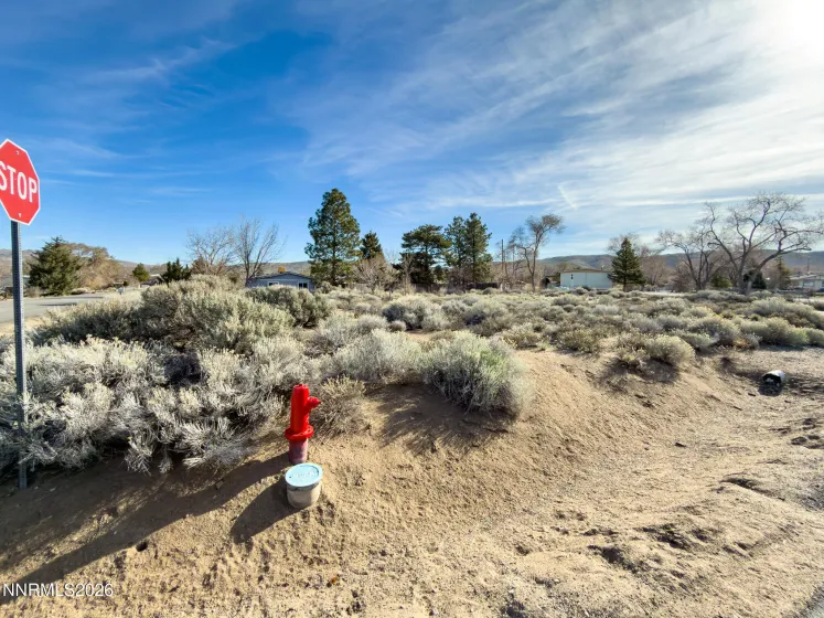 17755 Fantail, Reno, Nevada 89508, ,Land,Residential,Fantail,260003102