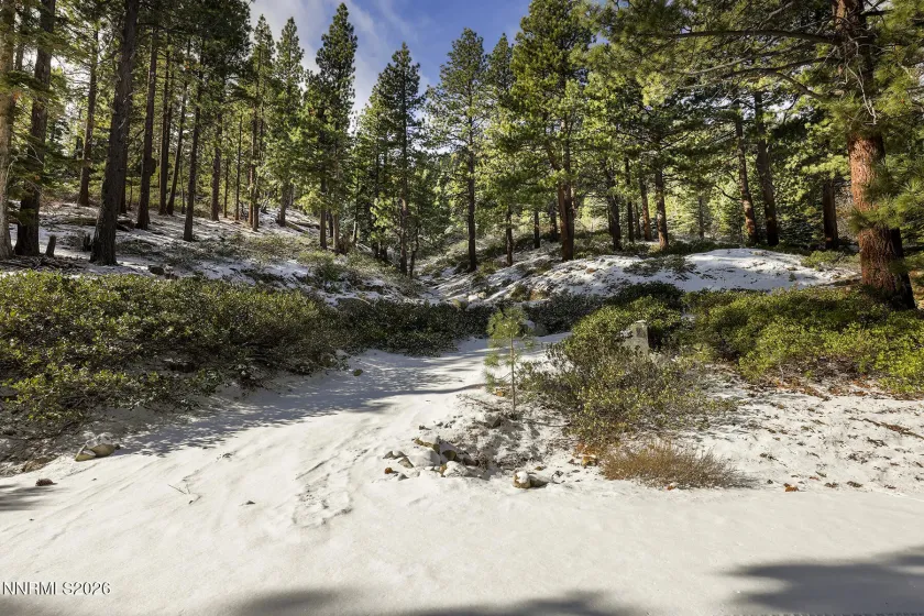 20102 Hibbet, Reno, Nevada 89511, 3 Bedrooms Bedrooms, ,3 BathroomsBathrooms,Residential,Residential,Hibbet,260003120