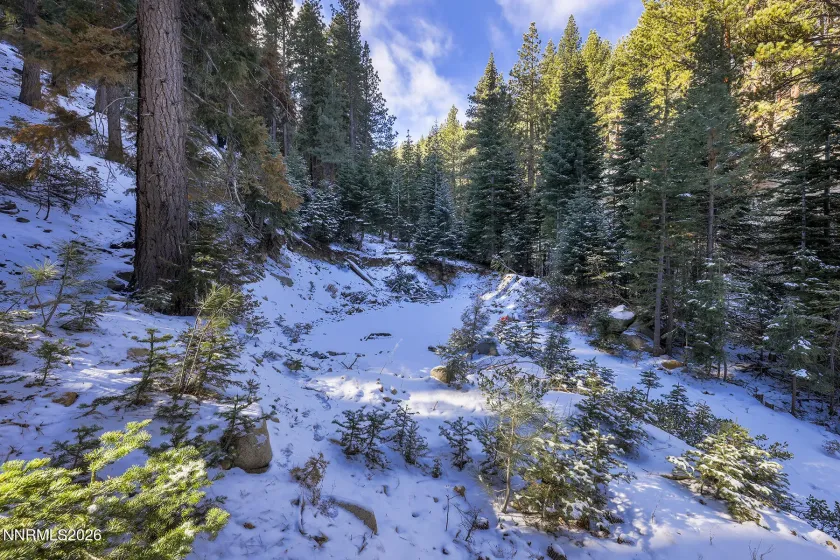 20102 Hibbet, Reno, Nevada 89511, 3 Bedrooms Bedrooms, ,3 BathroomsBathrooms,Residential,Residential,Hibbet,260003120