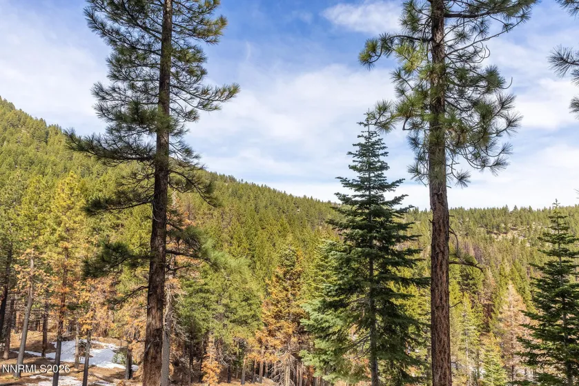 20102 Hibbet, Reno, Nevada 89511, 3 Bedrooms Bedrooms, ,3 BathroomsBathrooms,Residential,Residential,Hibbet,260003120