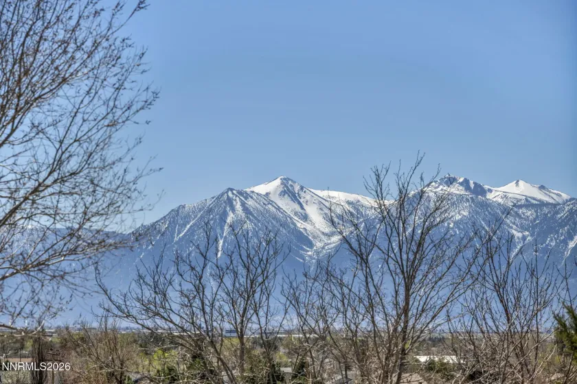 1374 Porter, Minden, Nevada 89423, 3 Bedrooms Bedrooms, ,3 BathroomsBathrooms,Residential,Residential,Porter,260003164