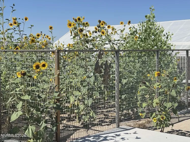 1197 Skyridge, Fallon, Nevada 89406, 3 Bedrooms Bedrooms, ,3 BathroomsBathrooms,Residential,Residential,Skyridge,260003195