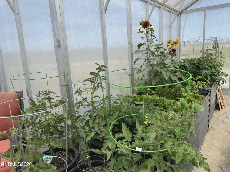 1197 Skyridge, Fallon, Nevada 89406, 3 Bedrooms Bedrooms, ,3 BathroomsBathrooms,Residential,Residential,Skyridge,260003195