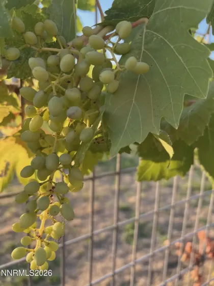 1197 Skyridge, Fallon, Nevada 89406, 3 Bedrooms Bedrooms, ,3 BathroomsBathrooms,Residential,Residential,Skyridge,260003195