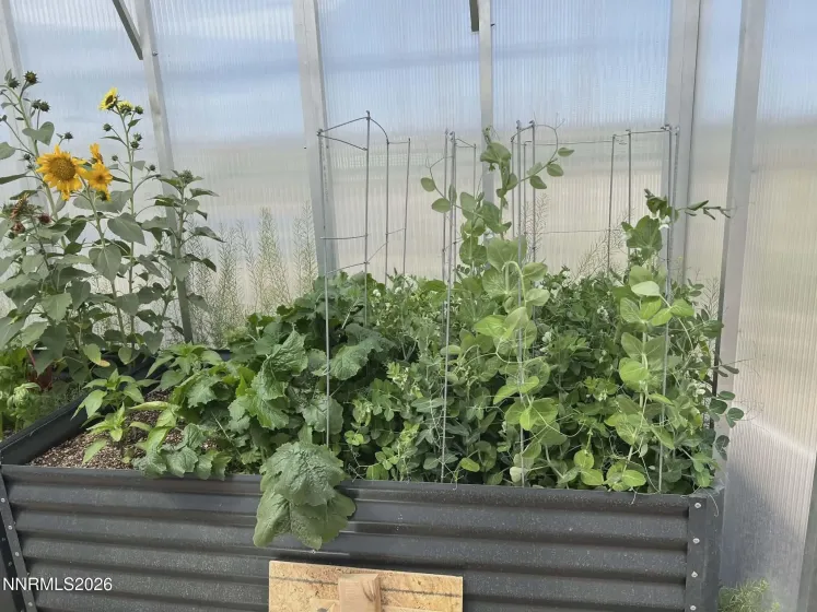 1197 Skyridge, Fallon, Nevada 89406, 3 Bedrooms Bedrooms, ,3 BathroomsBathrooms,Residential,Residential,Skyridge,260003195