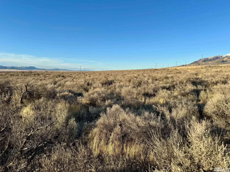22025 Callaway, Lovelock, Nevada 89419, ,Land,Residential,Callaway,250002066