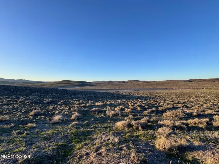 South side facing 50