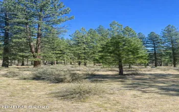 3568 Knob Pt, Carson City, Nevada 89705, ,Land,Residential,Knob Pt,260003237