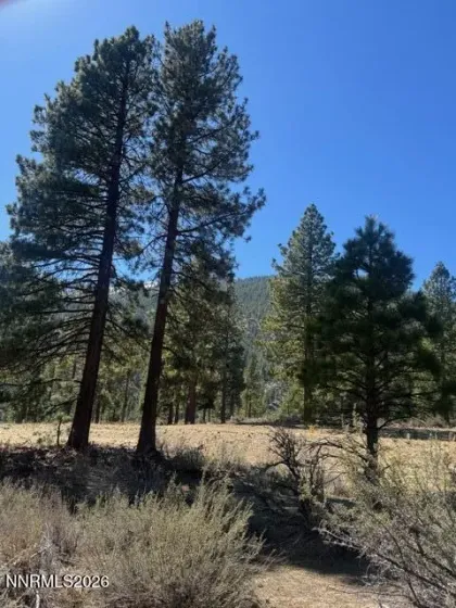 3568 Knob Pt, Carson City, Nevada 89705, ,Land,Residential,Knob Pt,260003237