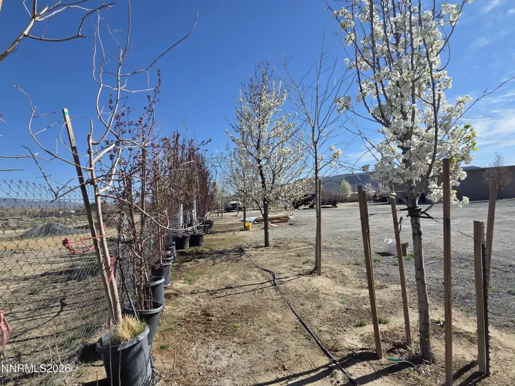 6012 US-50, Dayton, Nevada 89403, ,Commercial Sale,Residential,US-50,260003250