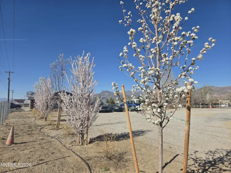 6012 US-50, Dayton, Nevada 89403, ,Commercial Sale,Residential,US-50,260003250