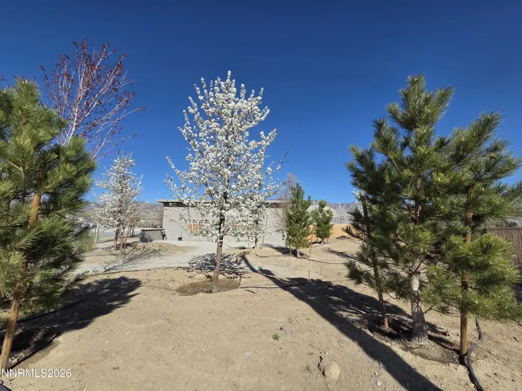 6012 US-50, Dayton, Nevada 89403, ,Commercial Sale,Residential,US-50,260003250