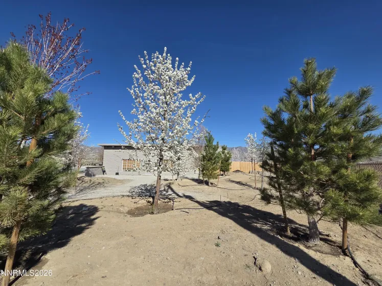 6012 US-50, Dayton, Nevada 89403, ,Commercial Sale,Residential,US-50,260003250