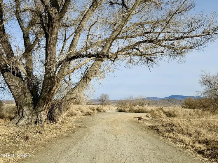13 HWY 95A, Yerington, Nevada 89447, ,Land,Residential,HWY 95A,260003269