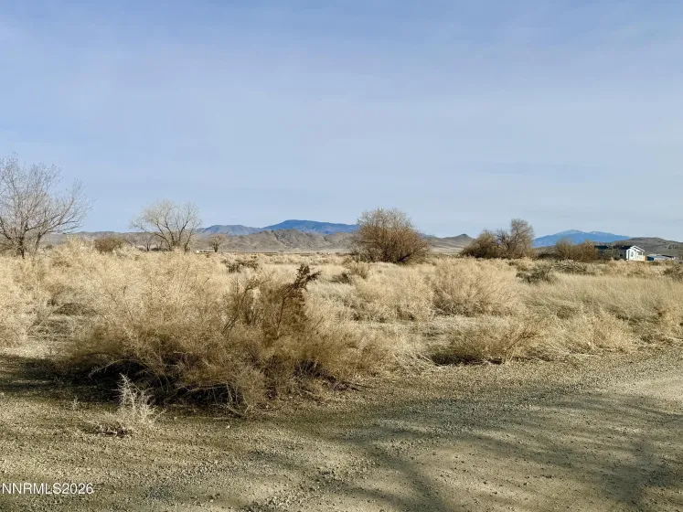 13 HWY 95A, Yerington, Nevada 89447, ,Land,Residential,HWY 95A,260003269