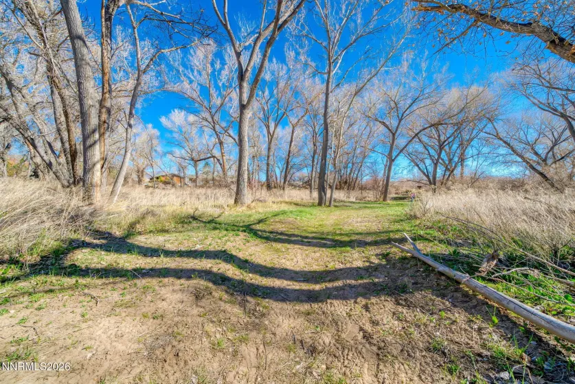 Path Through Woods to Carson River