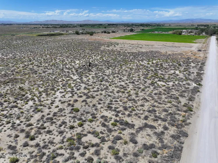 000 Edwards, Fallon, Nevada 89406, ,Land,Residential,Edwards,260003316